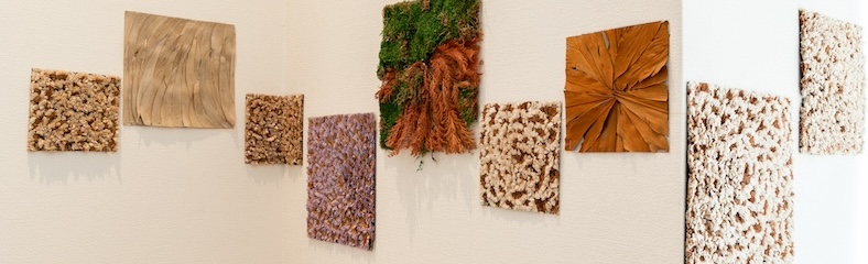 免疫力の向上と全身的アプローチで健康をサポート